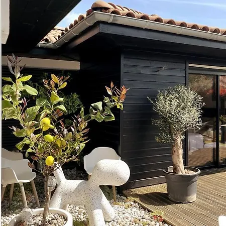Maison D'architecte Piscine & Jacuzzi ヴィラ *