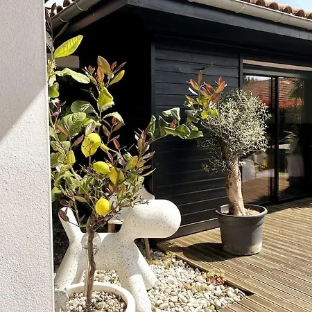 Maison D'architecte Piscine & Jacuzzi * オンドル